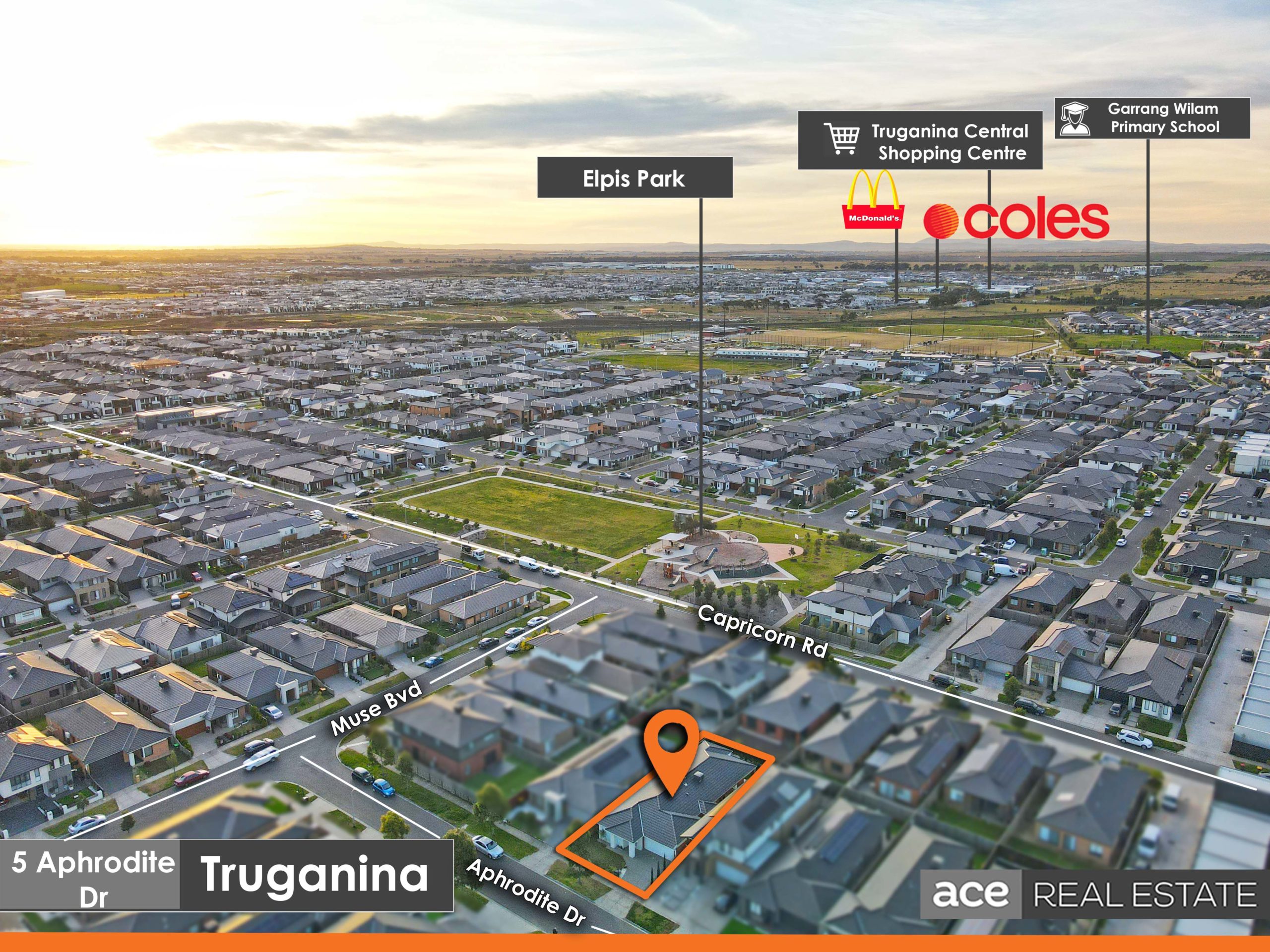Image Slider