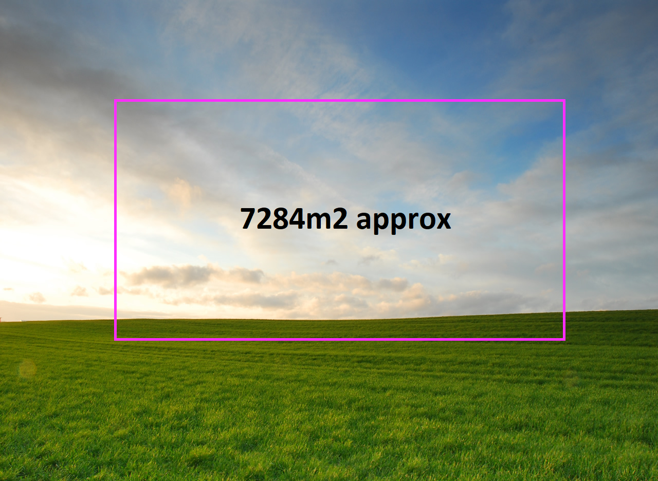 Image Slider
