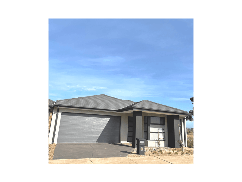 Image Slider