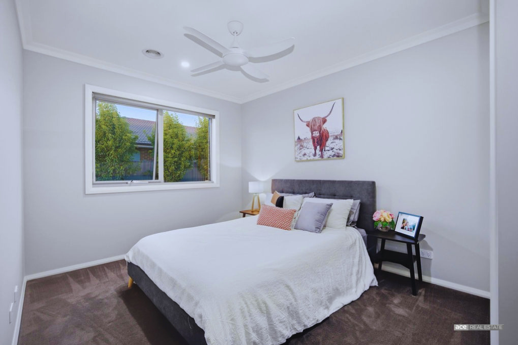 Image Slider