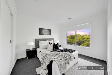 Image Slider