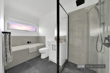 Image Slider